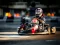 שפּיל Kart Karting אָנליין