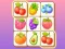 שפּיל Zoo Tile אָנליין