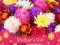 שפּיל 2019 Mother's Day Puzzle אָנליין