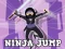 שפּיל Ninja Jump אָנליין