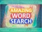שפּיל Amazing Word Search אָנליין