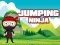 שפּיל Jumping Ninja אָנליין