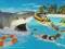 שפּיל La Shark אָנליין