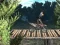 שפּיל Bike Trial Xtreme Forest אָנליין
