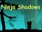 שפּיל Ninja Shadows אָנליין
