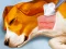 שפּיל Dog Hospital אָנליין