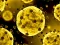 שפּיל Coronavirus Slide אָנליין