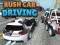 שפּיל Rush Car Driving אָנליין