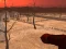 שפּיל Wasteland Shooters אָנליין