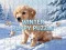 שפּיל Winter Pets Puzzle אָנליין