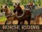 שפּיל Horse Riding Simulator אָנליין