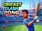 שפּיל Cricket Clash Pong אָנליין