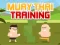 שפּיל Muay Thai Training אָנליין