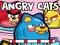 שפּיל Angry Cats אָנליין