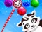 שפּיל Raccoon Rescue אָנליין
