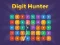 שפּיל Digit Hunter אָנליין