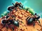 שפּיל Ant Colony אָנליין
