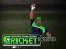 שפּיל Cricket Fielder Challenge אָנליין