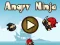 שפּיל Angry Ninja אָנליין