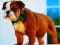 שפּיל Bulldog Puppy Puzzle אָנליין