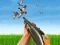 שפּיל Bird Hunting אָנליין