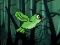 שפּיל Flappy Zombird אָנליין