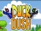 שפּיל Duck Dash אָנליין