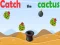 שפּיל Catch The Cactus אָנליין