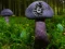 שפּיל Mushroom Forest Adventure אָנליין