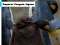 שפּיל Emperor Penguin Jigsaw אָנליין