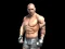 שפּיל Fight Arena Online אָנליין