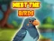 שפּיל Meet The Birds אָנליין