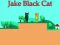 שפּיל Jake Black Cat אָנליין