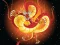 שפּיל Chinese Dragons Coloring אָנליין