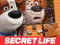 שפּיל The Secret Life of Pets Jigsaw Puzzle אָנליין