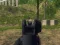 שפּיל Army Shooter אָנליין