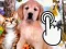 שפּיל Pets Clicker אָנליין