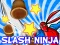 שפּיל Slash Ninja אָנליין