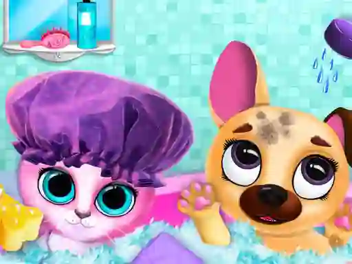 שפּיל Cute Pet Friends אָנליין