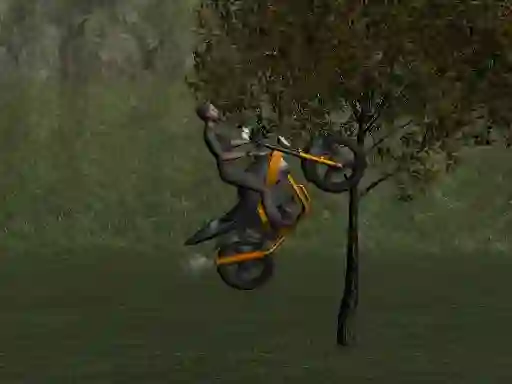 שפּיל Mountain Bike Rider אָנליין