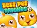 שפּיל Best Pet Friends אָנליין