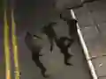 שפּיל Zombie Reborn אָנליין