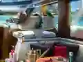 שפּיל Caribbean Crime אָנליין