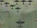 שפּיל Wings Of Glory אָנליין