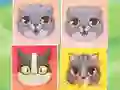שפּיל Kitten Match אָנליין