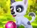 שפּיל Happy Dog אָנליין