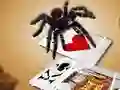 שפּיל Jumping Spider אָנליין