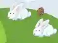 שפּיל Crazy Eggs אָנליין