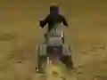 שפּיל Real Moto Stunts Challenge אָנליין
