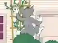 שפּיל Tom und Jerry: Wasserbomben Wahnsinn אָנליין